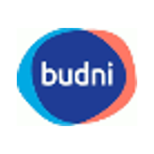BUDNI Handels- und Service GmbH & Co. KG logo